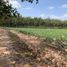  Land for sale in Phai, Sai Mun, Phai