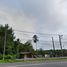  Land for sale in Lo Yung, Takua Thung, Lo Yung