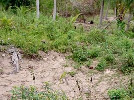  Grundstück zu verkaufen in Ko Pha-Ngan, Surat Thani, Ko Pha-Ngan, Ko Pha-Ngan, Surat Thani