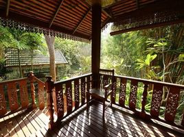 41 Schlafzimmer Hotel / Resort zu verkaufen in Chiang Dao, Chiang Mai, Chiang Dao, Chiang Dao, Chiang Mai