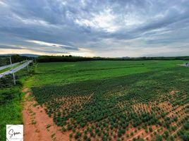  Grundstück zu verkaufen in Nong Yai, Chon Buri, Nong Suea Chang, Nong Yai