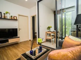 1 Bedroom Condo for rent at Hasu Haus, Phra Khanong Nuea