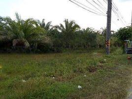  Land for sale in Mueang Phangnga, Phangnga, Tak Daet, Mueang Phangnga