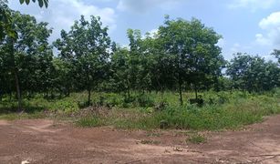 N/A Land for sale in Nong Phrong, Prachin Buri 