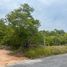  Land for sale in Bo Phut, Koh Samui, Bo Phut