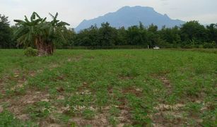 N/A Land for sale in Mae Na, Chiang Mai 