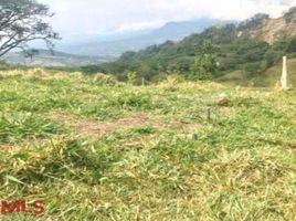  Land for sale in Fredonia, Antioquia, Fredonia