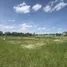  Land for sale in Mueang Chiang Mai Chiang Mai, Suthep, Mueang Chiang Mai, Chiang Mai