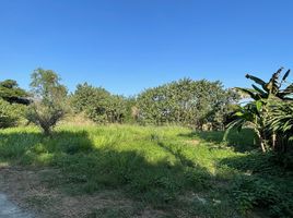  Land for sale in Kad Ma Praw Coconut Plantation Market, Fa Ham, Fa Ham