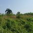  Land for sale in Pong, Pattaya, Pong