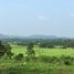  Land for sale in Mae Taeng, Chiang Mai, Mae Taeng, Mae Taeng