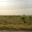  Land for sale in Mueang Chai Nat, Chai Nat, Tha Chai, Mueang Chai Nat