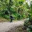  Land for sale in Payangan, Bali, Payangan, Gianyar