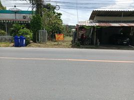  Grundstück zu verkaufen in Thalang, Phuket, Sakhu, Thalang