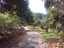  Land for sale in San Jose, Perez Zeledon, San Jose