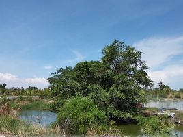 ขายที่ดิน ใน พระสมุทรเจดีย์ สมุทรปราการ, บ้านคลองสวน