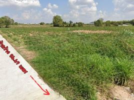  Land for sale in Phin Chaem Wicha Son School, Huai Yai, Huai Yai