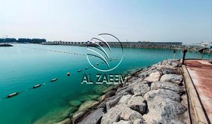 N/A Grundstück zu verkaufen in , Abu Dhabi Nareel Island