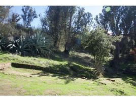  Land for sale at Quilpue, Quilpue, Valparaiso
