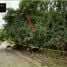  Land for sale in Phuket Town Phuket, Chalong