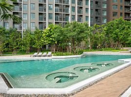 1 Bedroom Condo for rent at The Parkland Phetkasem 56, Bang Wa