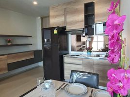 1 Schlafzimmer Appartement zu vermieten im Noble Ploenchit, Lumphini