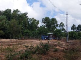  Land for sale in Songkhla, Ching Kho, Singhanakhon, Songkhla