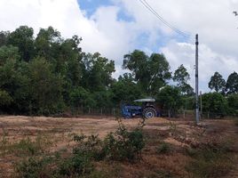  Grundstück zu verkaufen in Singhanakhon, Songkhla, Ching Kho