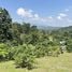  Land for sale in Nam Phrae, Hang Dong, Nam Phrae