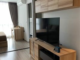 1 Bedroom Condo for rent at Rhythm Ekkamai, Khlong Tan Nuea