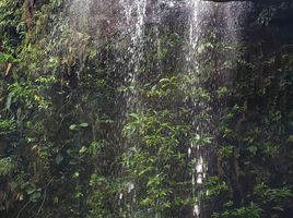  Grundstück zu verkaufen in San Miguel De Mocoa, Putumayo, San Miguel De Mocoa, Putumayo