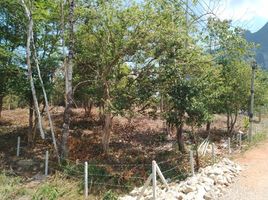  Land for sale in Khlong Thom Nuea, Khlong Thom, Khlong Thom Nuea