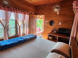 17 Bedroom Hotel for sale in Thailand, Wiang Nuea, Pai, Mae Hong Son, Thailand