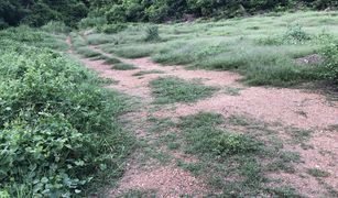 N/A Land for sale in Makok, Lamphun 