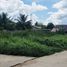  Land for sale in Udon Thani, Mu Mon, Mueang Udon Thani, Udon Thani