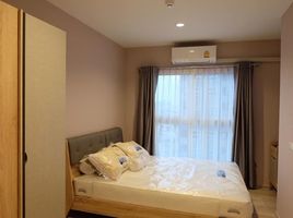 1 Bedroom Condo for rent at Plum Condo Ramkhamhaeng, Suan Luang, Suan Luang