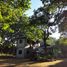 4 Schlafzimmer Haus zu verkaufen in Rong Kwang, Phrae, Phai Thon, Rong Kwang, Phrae