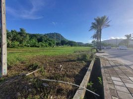  Grundstück zu verkaufen in Thalang, Phuket, Si Sunthon