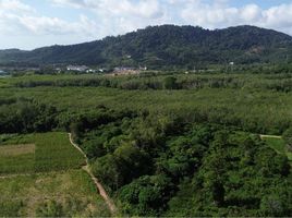  Land for sale in Phuket, Ko Kaeo, Phuket Town, Phuket