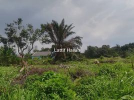  Grundstück zu verkaufen in Langkawi, Kedah, Padang Masirat, Langkawi, Kedah