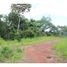  Land for sale in Osa, Puntarenas, Osa