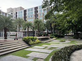 1 Bedroom Condo for sale at Elements Srinakarin, Nong Bon