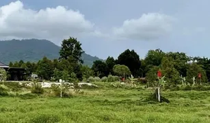 N/A Grundstück zu verkaufen in Taphong, Rayong 