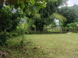  Land for sale in Chiang Mai, Wiang, Phrao, Chiang Mai