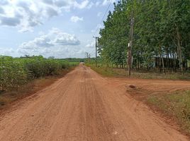  Land for sale in Binh Duong, Minh Hoa, Dau Tieng, Binh Duong