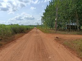  Grundstück zu verkaufen in Dau Tieng, Binh Duong, Minh Hoa, Dau Tieng, Binh Duong