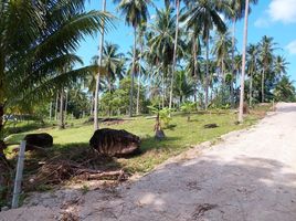  Grundstück zu verkaufen in Khanom, Nakhon Si Thammarat, Khanom