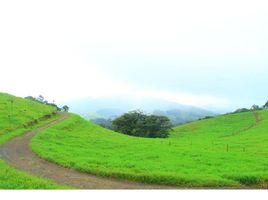  Land for sale in Alajuela, San Ramon, Alajuela