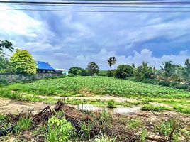  Grundstück zu verkaufen in Nikhom Phatthana, Rayong, Phana Nikhom