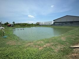  Grundstück zu verkaufen in Bang Phli, Samut Prakan, Bang Phli Yai, Bang Phli, Samut Prakan